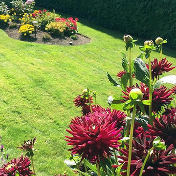 North Vancouver Lawn Care Services