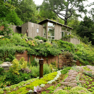 Mill Valley, Cabin Studio's