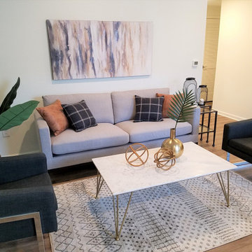 Plymouthtowne Apartment Models