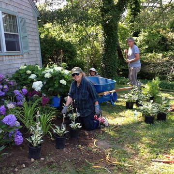 Chatham Hydranga Garden
