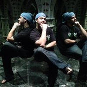 Travis Haarer's photo