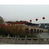 Hong Yin's photo