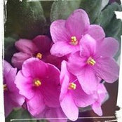 Meg Reilly's photo