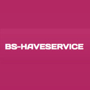 BsHaveservices billede