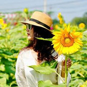 My Nguyen's photo