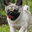 test§
