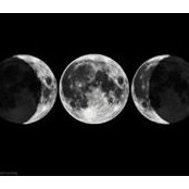 Mimi Atherton's photo