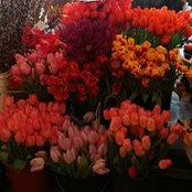 Laura Mitchell's photo