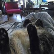 Foto von Ginny Herberholz