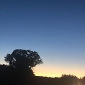 Louisa Vaira's photo