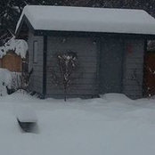 Lisa LeMoignan's photo