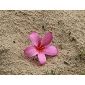 April Tolley's photo
