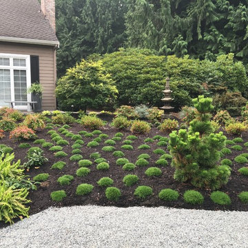 Pagoda and Plantings