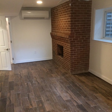 Springer Basement Remodel