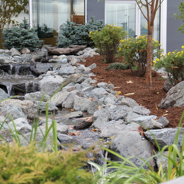 Water Features