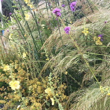 Gardens designed by Sarah Wilson
