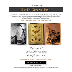 The DeGrezzo&trade; Print - Artwork