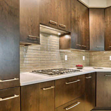 Camp Hill Contemporary