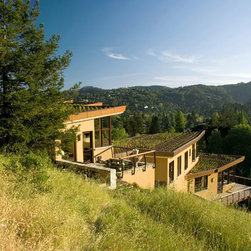 Mill Valley House - Windows And Doors