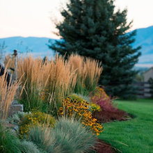 landscaping Montana
