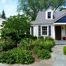 Front yard - No Yard