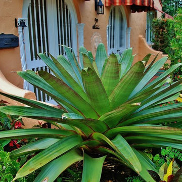 Tropical Landscape Design
