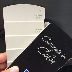 Paint Selections - Paint