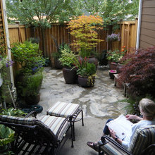Meg's Back Yard
