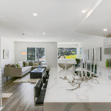 College Ave., San Francisco Modern Flip