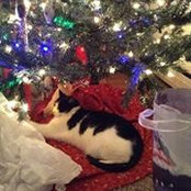 Margie Trowbridge's photo