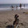 daniel_hsiao