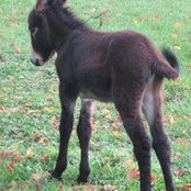 Enid Brandon-Turner's photo