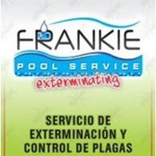 Frankie Pool's photo