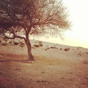 خالد اسماعيل الغياث الهيدوسs foto