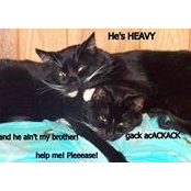 Sandy Clark's photo