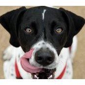 Shari Rickert's photo