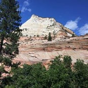 Marianne Wohl's photo