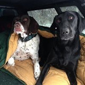 Kate Grasso's photo