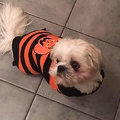 Lucy Nolan's photo