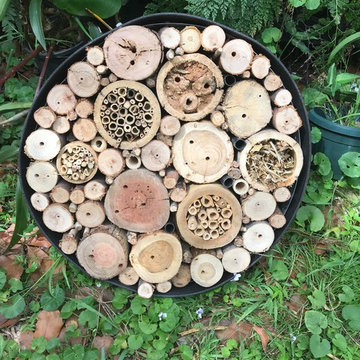 Native Bee Hotels