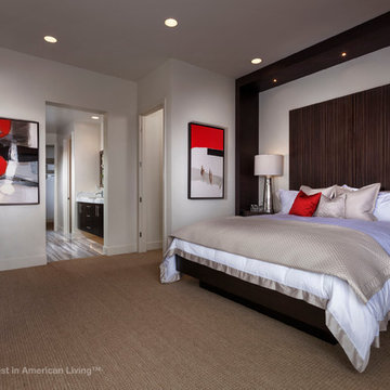 Playa Vista Asher Plan 3 - Silver Award for Detached Home 2501-3000 sq ft