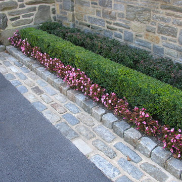 Garden Elegance