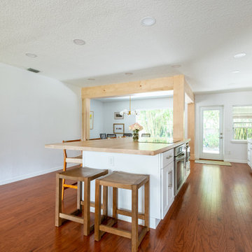 Downtown Orlando Kitchen Remodel