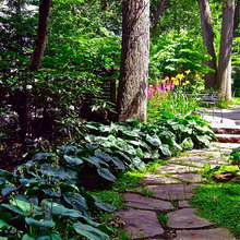side yard sitting area