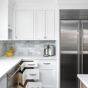 Transitional Kitchen and First Floor Leesburg Remodel - Naperville