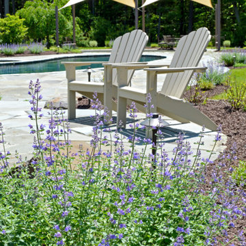 Restoring an Island in Orange County, NY