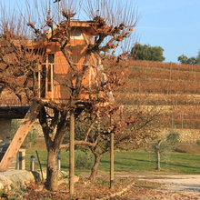 tree houses