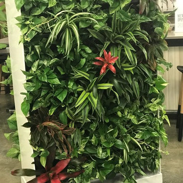 Green Wall Divider