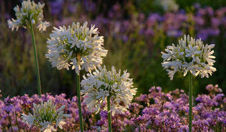 ‘Paseo’: Un jardín convertido en palabras