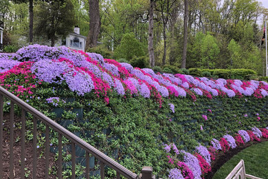 Inspiration for a traditional landscaping in Baltimore.